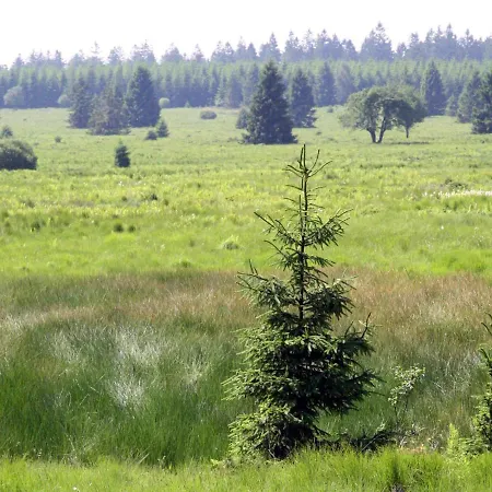 Beautiful Near The Forest In Domek alpejski Malmedy