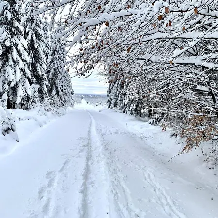 Beautiful Near The Forest In Chalet